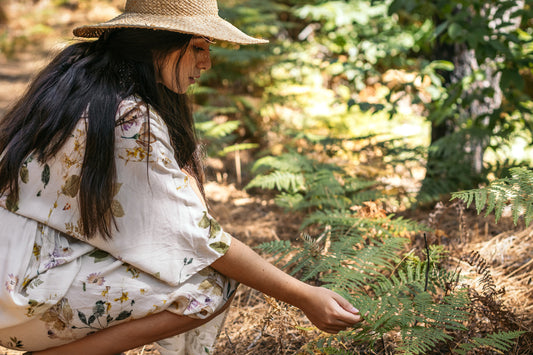 What is a Plant Walk?
